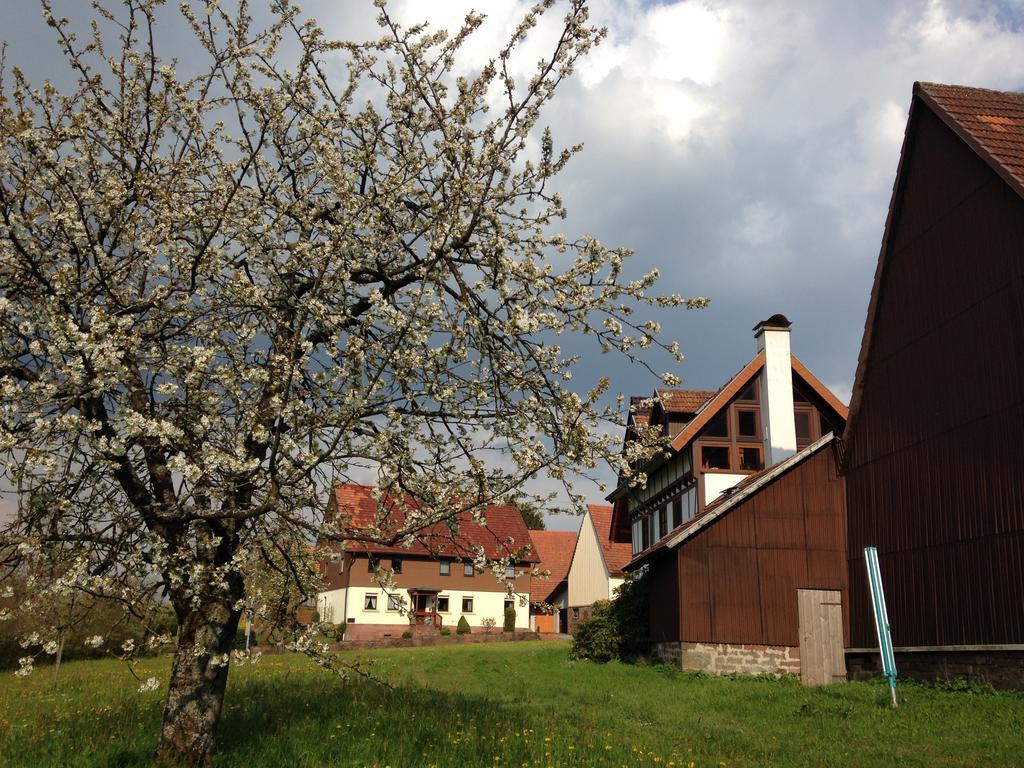 Villa Ferienhaus Annabell Weisbach  Exterior foto